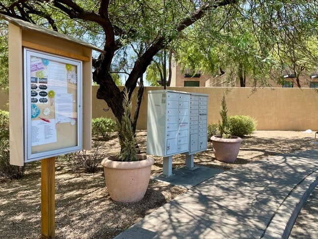 1048 E Susan Ln in Tempe, AZ - Building Photo - Building Photo