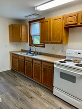 111 McPherson St in Stanton, MI - Building Photo - Building Photo