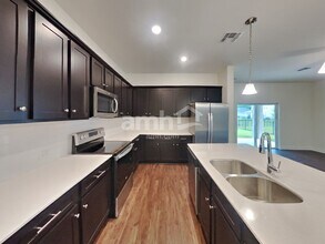 33943 Thyme Dr in Zephyrhills, FL - Building Photo - Building Photo