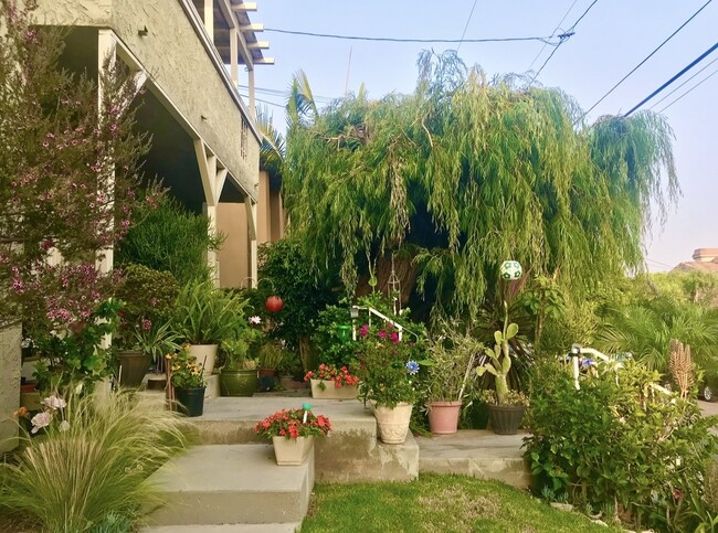 2113 Clark Ln in Redondo Beach, CA - Building Photo - Building Photo