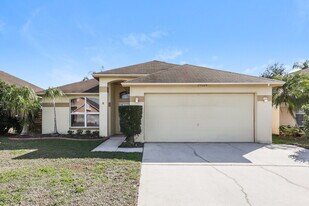 29324 Birds Eye Dr in Zephyrhills, FL - Building Photo