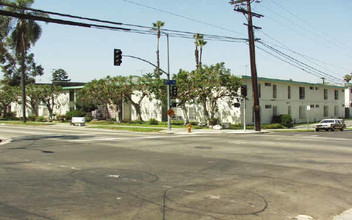 505 S Wilton Pl in Los Angeles, CA - Building Photo - Building Photo