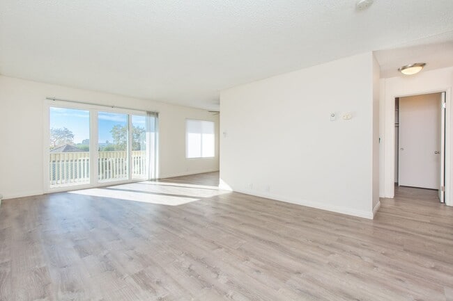 1855 Diamond St in San Diego, CA - Building Photo - Building Photo