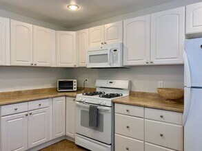 6186 Chia Ave in Twentynine Palms, CA - Building Photo - Building Photo