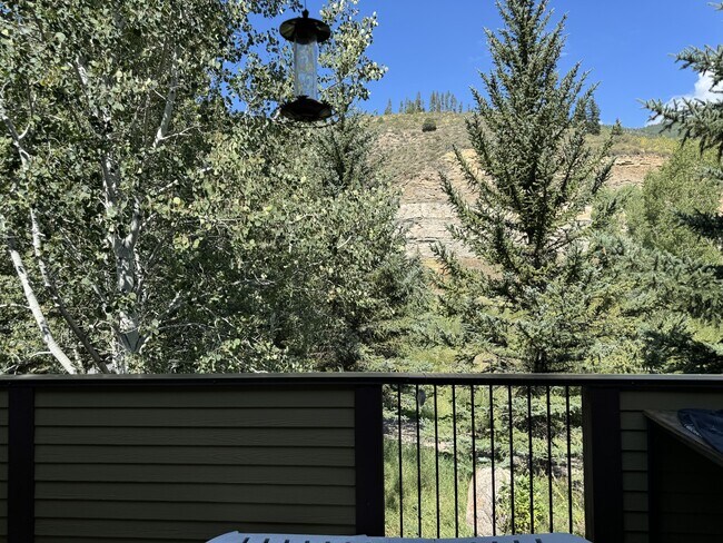 2500 Kinnickinnick Rd in Vail, CO - Building Photo - Building Photo