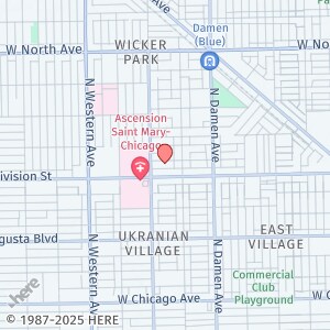 2133 W Crystal St in Chicago, IL - Building Photo