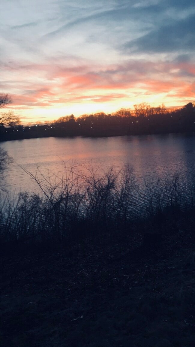 252 Arcadia Blvd in Springfield, MA - Building Photo - Building Photo