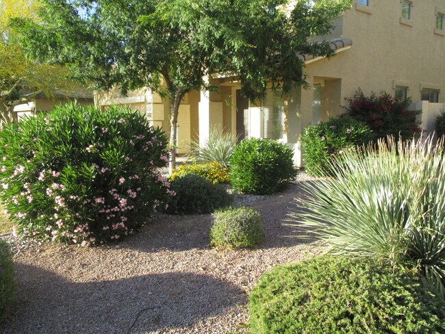 6631 S Classic Way in Gilbert, AZ - Building Photo - Building Photo
