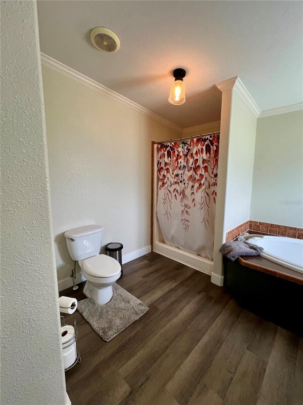 4229 Ryals Rd in Zephyrhills, FL - Building Photo - Building Photo