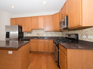 943 W 14th Pl in Chicago, IL - Building Photo - Building Photo