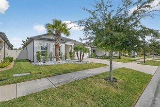 30439 Caravelle Ln in Wesley Chapel, FL - Building Photo - Building Photo