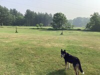 5454 N River Rd photo'