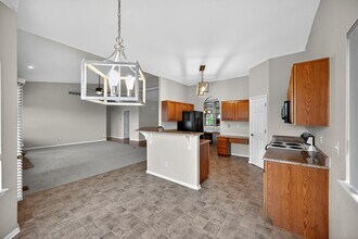 11131 Park Vista Dr in Westminster, CO - Building Photo - Building Photo