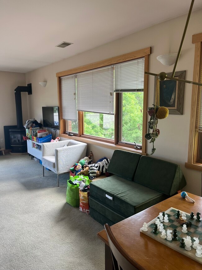 715 Hill St, Unit 302 in Madison, WI - Building Photo - Building Photo