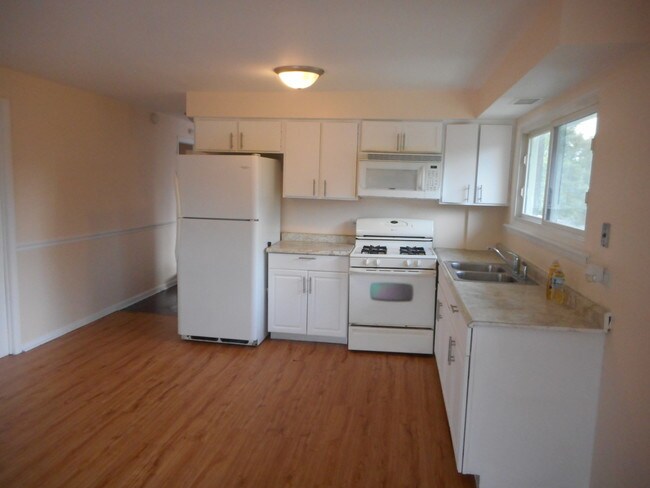 13701 S Atlantic Ave in Riverdale, IL - Building Photo - Building Photo
