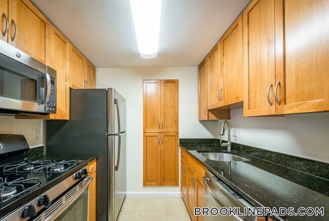 51 Thornton Rd in Brookline, MA - Building Photo - Building Photo