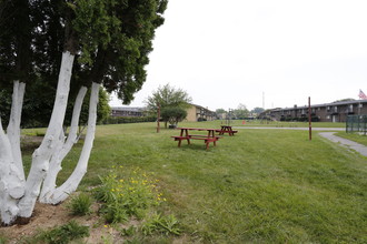 Briarwood Apartments in Waukegan, IL - Building Photo - Other