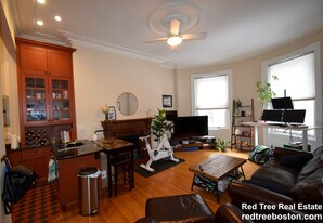 388 Marlborough St, Unit 4 in Boston, MA - Building Photo