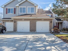 239 Camel Bend Ct in Schaumburg, IL - Building Photo