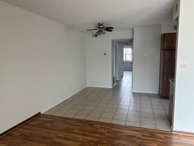 8112 168th Pl in Tinley Park, IL - Building Photo - Building Photo