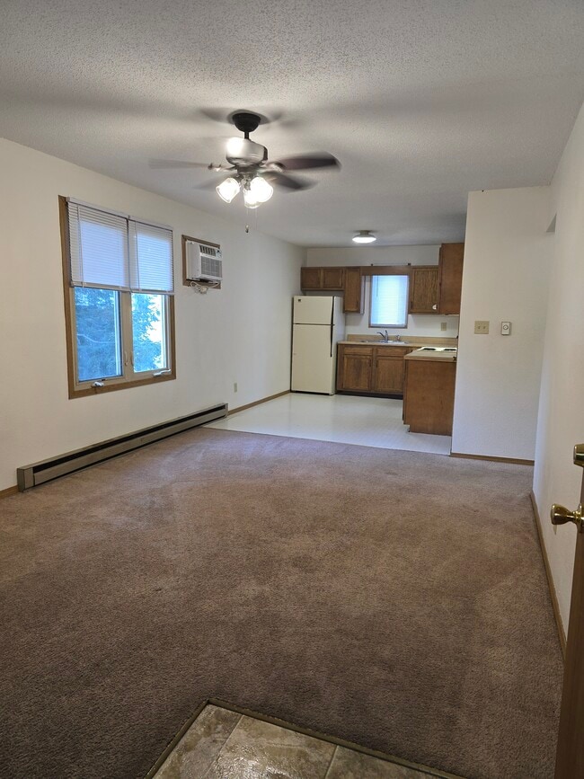 104 E Mill St, Unit #3 in Rochester, IL - Building Photo - Building Photo