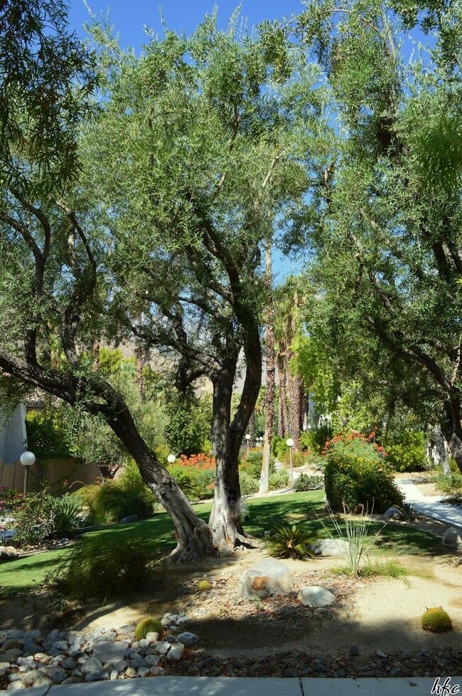 1826 N Mira Loma Way in Palm Springs, CA - Building Photo - Building Photo