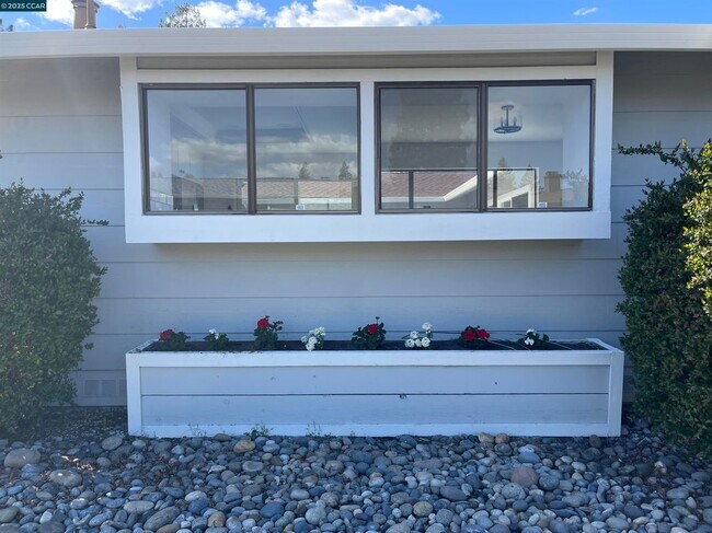 836 Luz Ct in Danville, CA - Building Photo - Building Photo