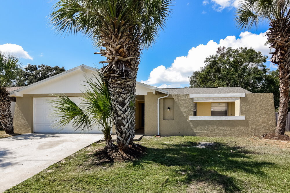 7234 Northbridge Blvd in Tampa, FL - Building Photo