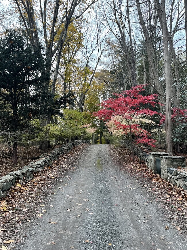 76 Haviland Ct, Unit Stamford Guest Cottage in Stamford, CT - Building Photo - Building Photo