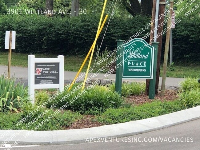 3901 Whitland Ave in Nashville, TN - Building Photo - Building Photo