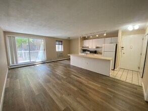 123 Sewall Ave, Unit 1A in Brookline, MA - Building Photo - Building Photo