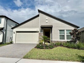 17797 Grassybend Lp in Land O Lakes, FL - Building Photo