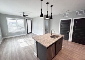 5005 E Parmer Ln in Manor, TX - Building Photo