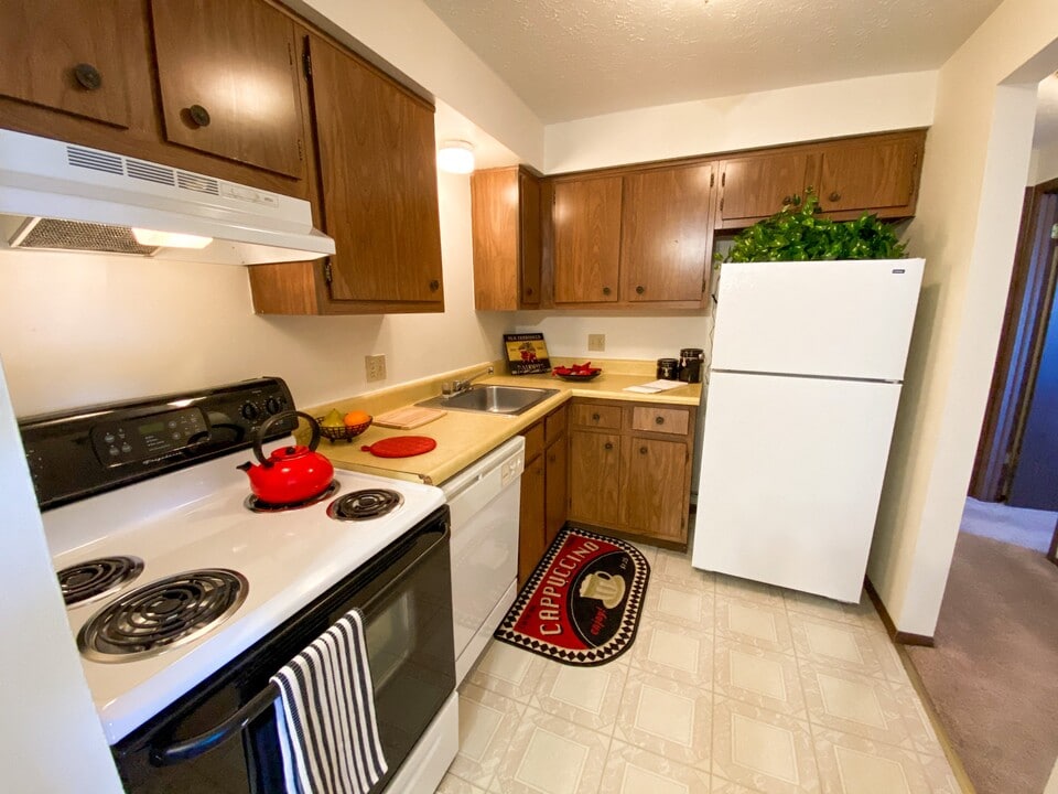 Condor Garden Apartments in Elyria, OH - Foto de edificio