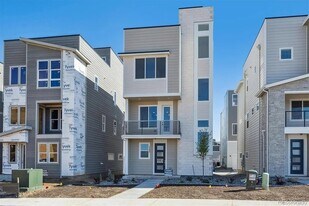 1243 Rhett Dr in Lafayette, CO - Building Photo