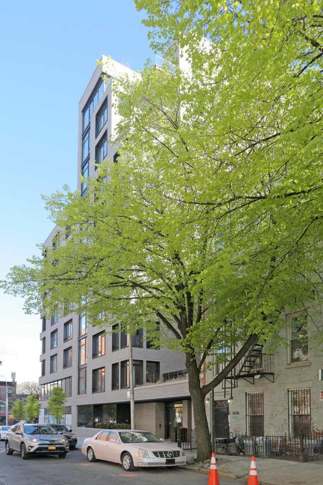 Baltic Park Slope in Brooklyn, NY - Foto de edificio - Building Photo