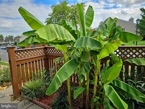 6088 Essex House Square in Alexandria, VA - Building Photo - Building Photo