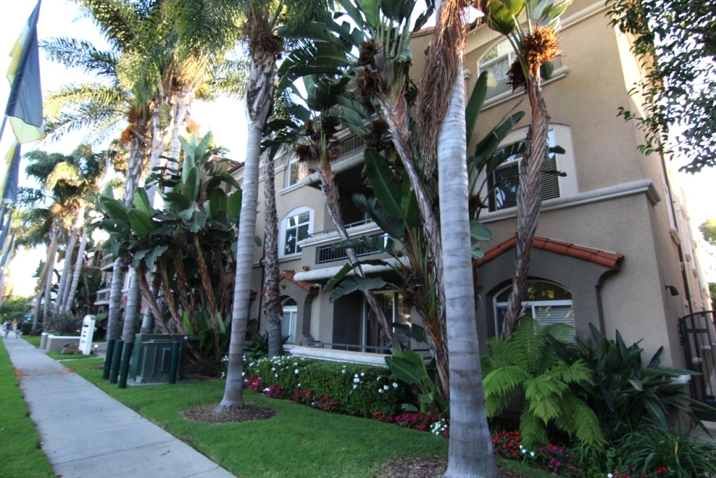 3260 Sawtelle Blvd in Los Angeles, CA - Building Photo