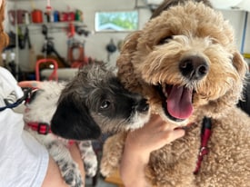 405 S Hine Ave in Waukesha, WI - Building Photo