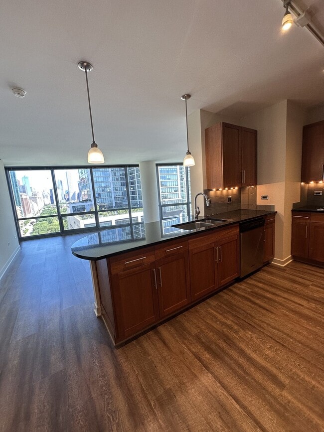 property at 1251 S Michigan Ave