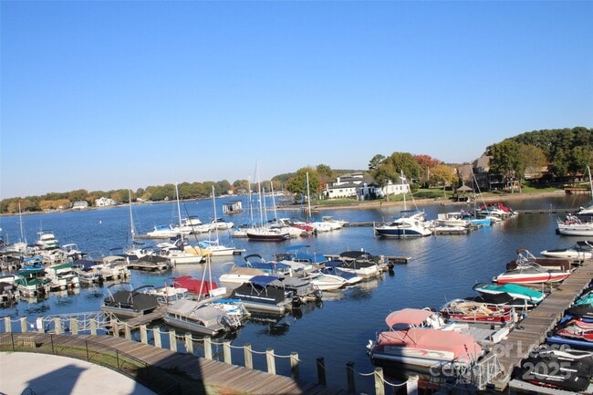 18749 Vineyard Point Ln in Cornelius, NC - Building Photo - Building Photo