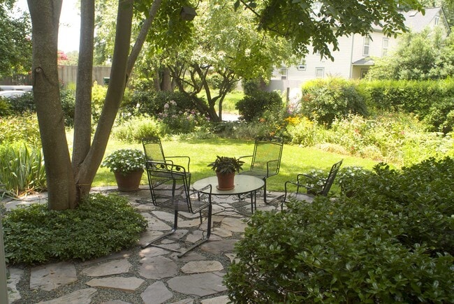 214 W South St, Unit Apartment 2 in Charlottesville, VA - Building Photo - Building Photo