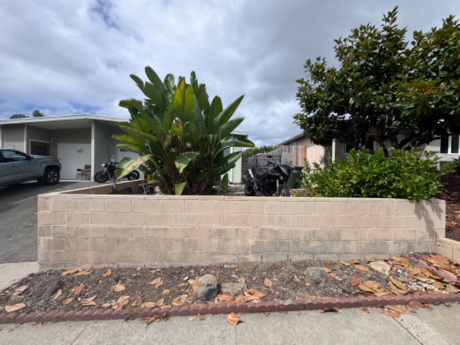 208 Fraxinella St