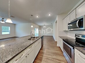 887 Sunny Stroll Dr in Middleburg, FL - Building Photo - Building Photo