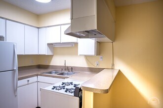 Montage Apartments in Austin, TX - Building Photo - Building Photo