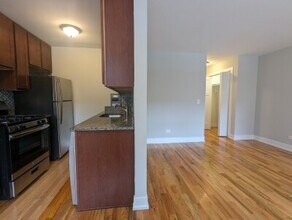 510 W Briar Pl in Chicago, IL - Building Photo - Building Photo