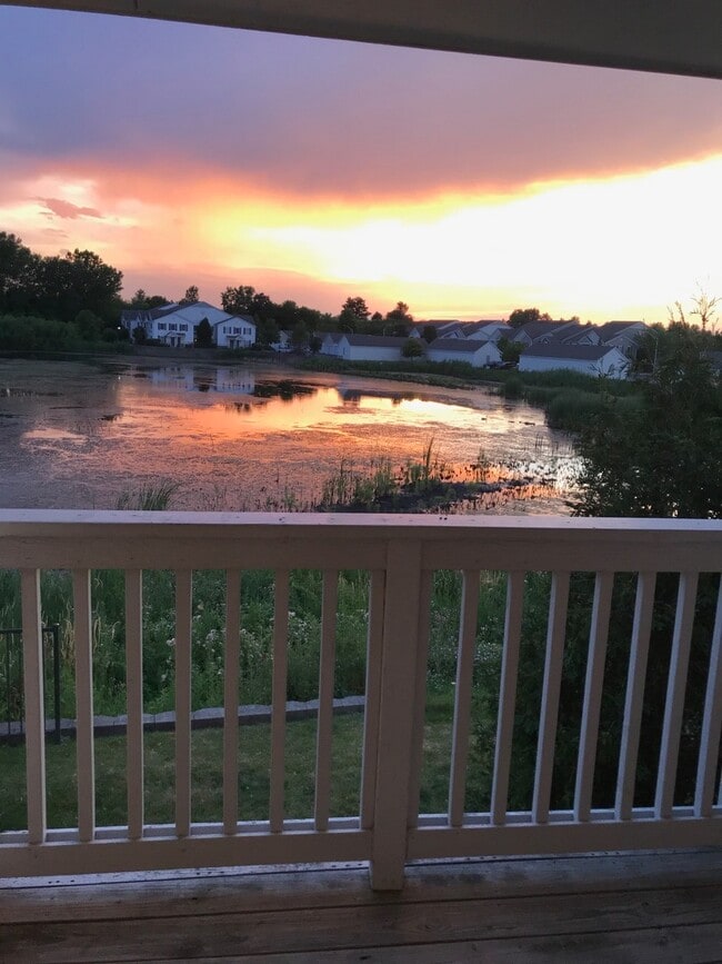 1131 Silverstone Dr in Carpentersville, IL - Foto de edificio - Building Photo