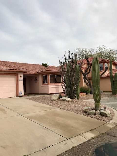 property at 9908 N Woodstone Trail
