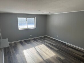 16821 Louis Ct in South Holland, IL - Building Photo - Building Photo