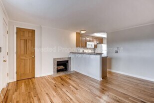 336 N Grant St in Denver, CO - Building Photo